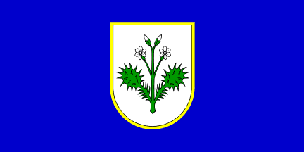 [Dubravica]
