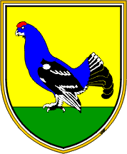 [Kranjska Gora]